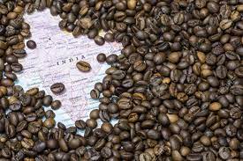 granos de café india