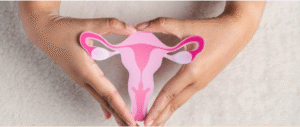 manos con un diagrama de sistema reproductor femenino